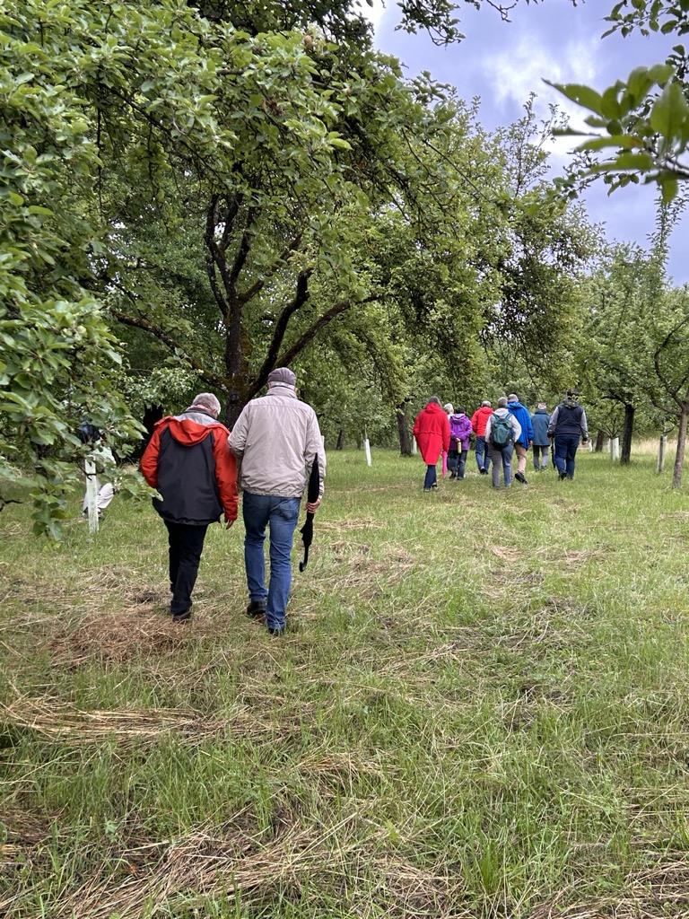Weg zur Streuobstwiese
