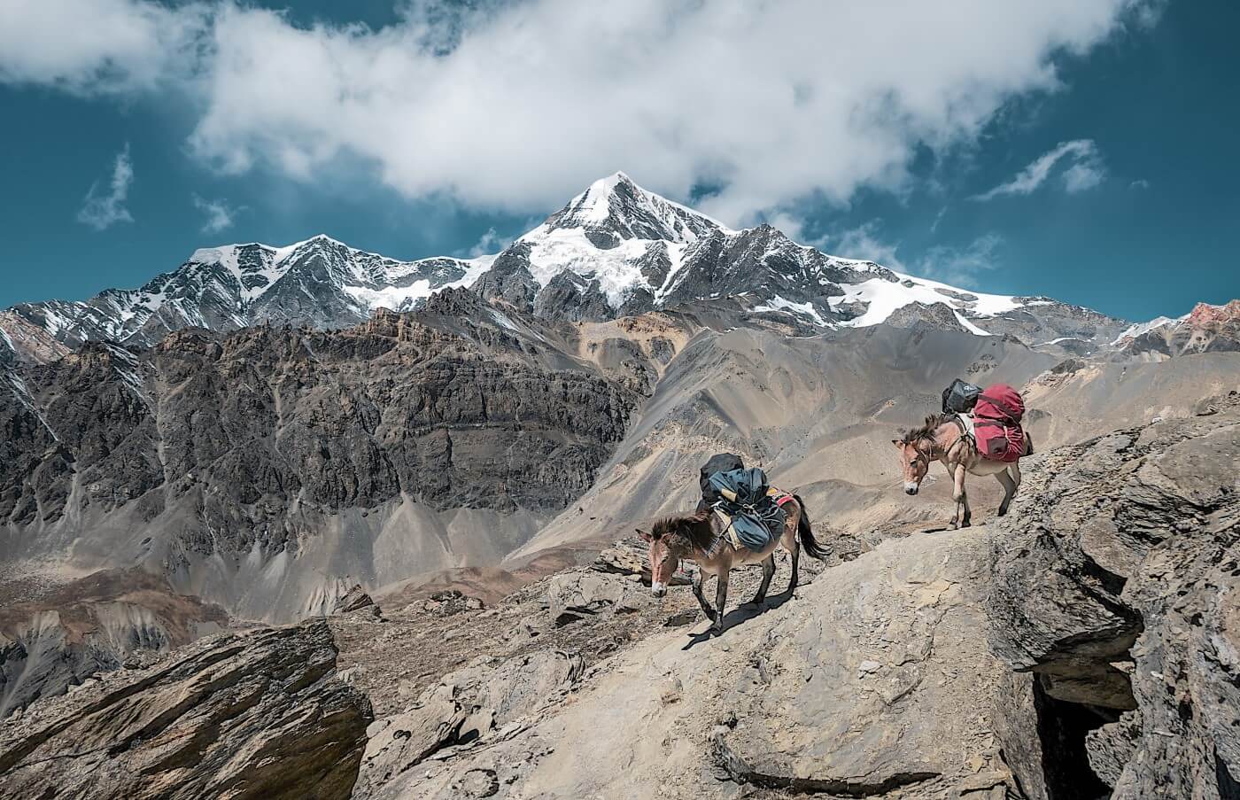 Himalaya and back